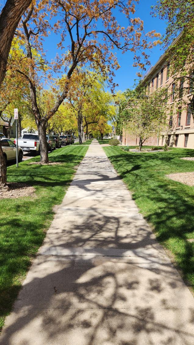 Landscaping and Snow Removal Services